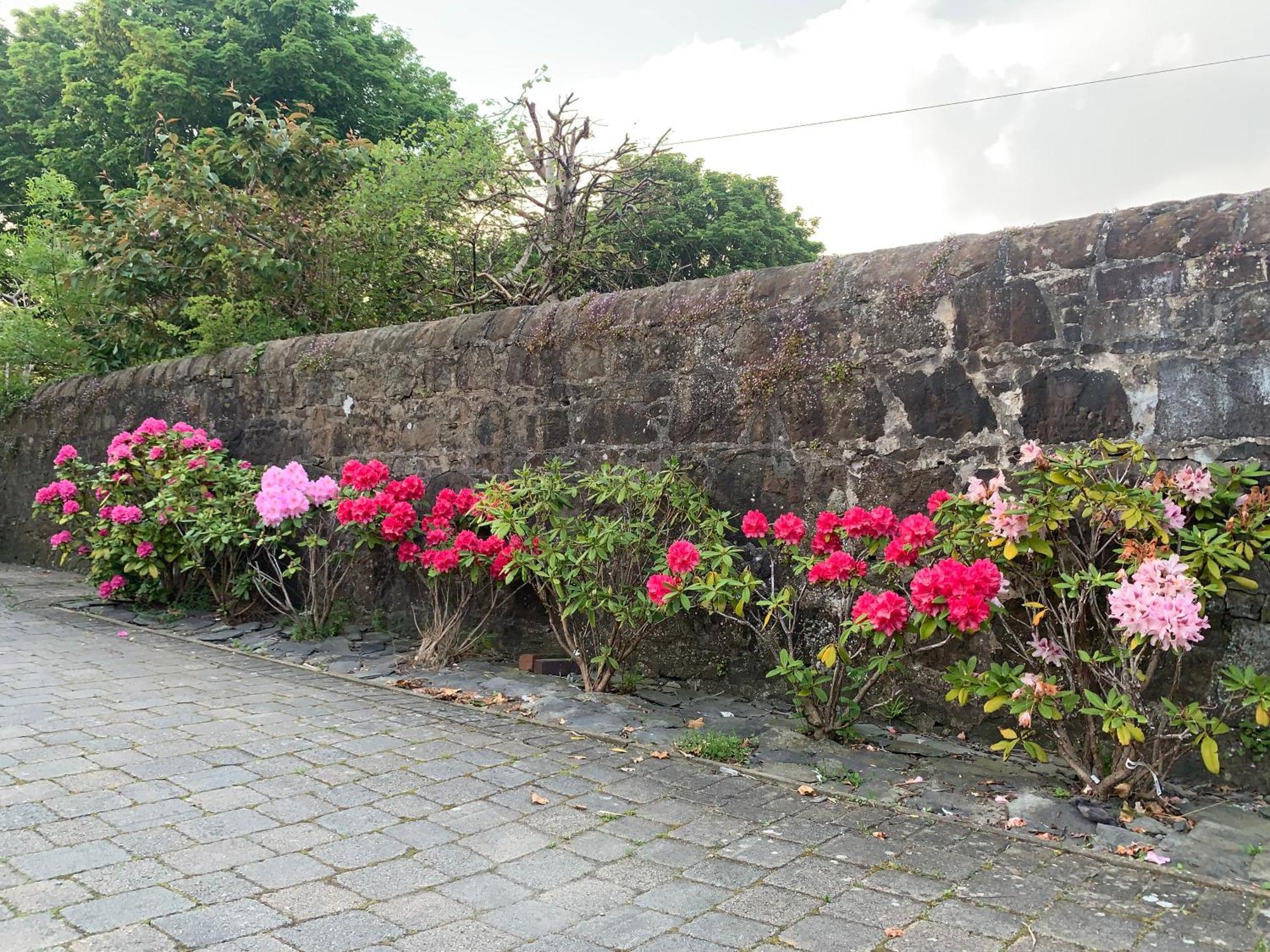 Braidmead House Otel Irvine  Dış mekan fotoğraf